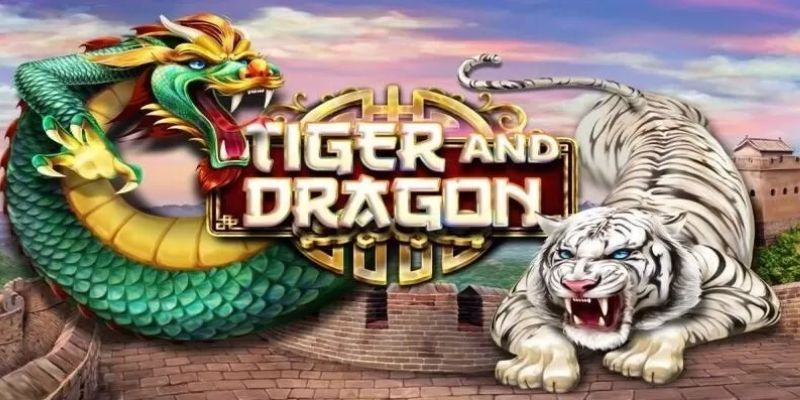 Mẹo chơi rồng hổ 13win hiệu quả cho người mới
