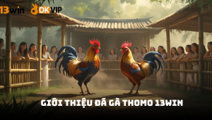 Đá gà Thomo 13Win - Trải nghiệm cá cược kịch tính, thưởng lớn 2026